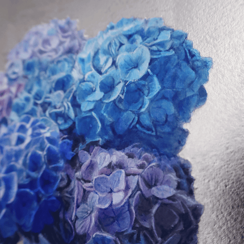 hydrangea(242㎜×333㎜)