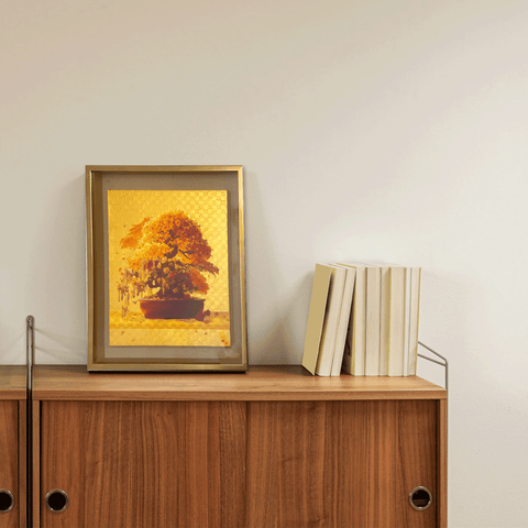 bonsai.png (410㎜×318㎜)