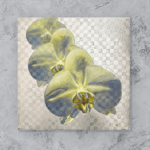 Phalaenopsis orchid.png (S6)