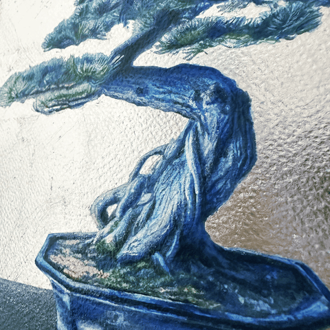 bonsai(SM)
