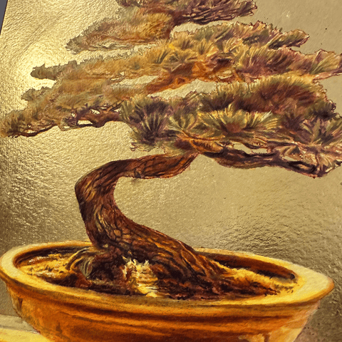 bonsai(SM)