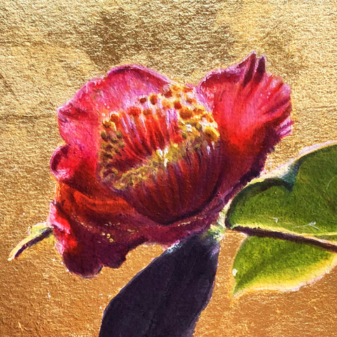 Camellia
