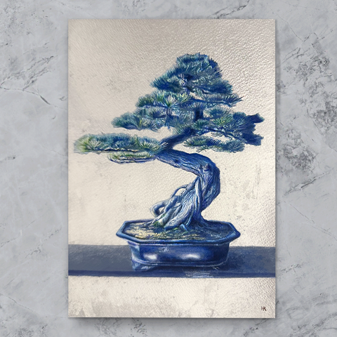 bonsai(SM)