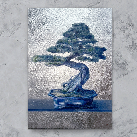 bonsai(SM)