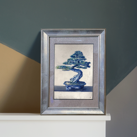 bonsai(SM)