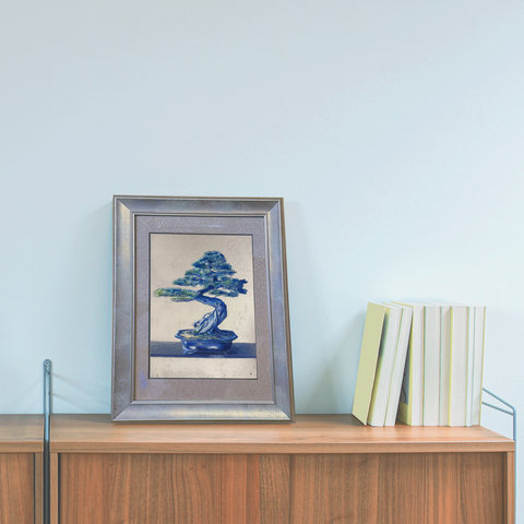 bonsai(SM)