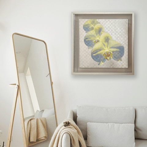 Phalaenopsis orchid.png (S6)