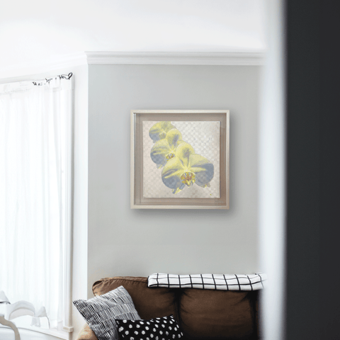 Phalaenopsis orchid.png (S6)