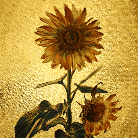 sunflower(242㎜×333㎜)