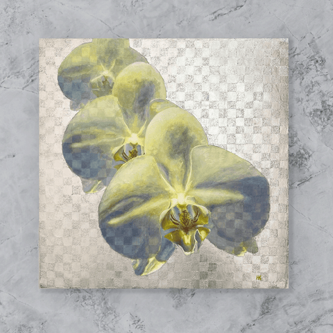 Phalaenopsis orchid.png　(S6)　