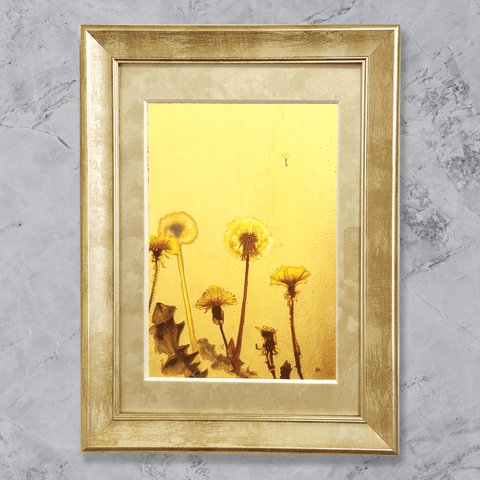 金色の光に包まれるタンポポの花と空を飛ぶ綿毛　(SM)
